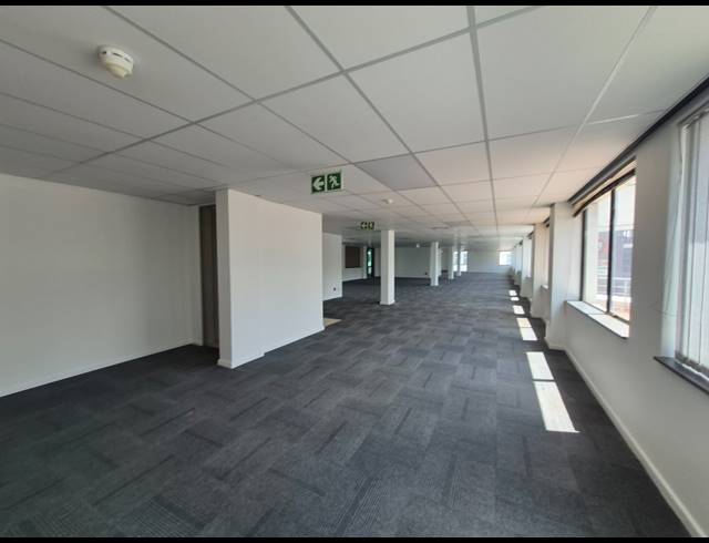 1,001M² OFFICE TO LET IN ROSEBANK